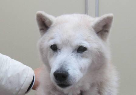 3 月 10 日の写真_c0174644_112820.jpg