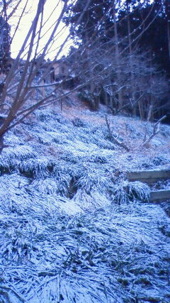 粉砂糖ふりかけたみたいな雪景色_b0132746_782490.jpg