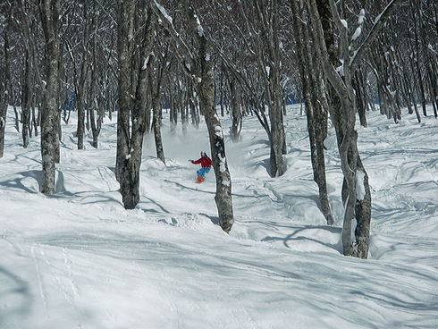 f0209354_1857461.jpg