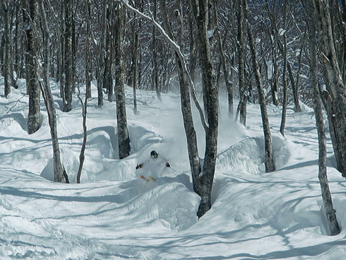 f0209354_1913397.jpg