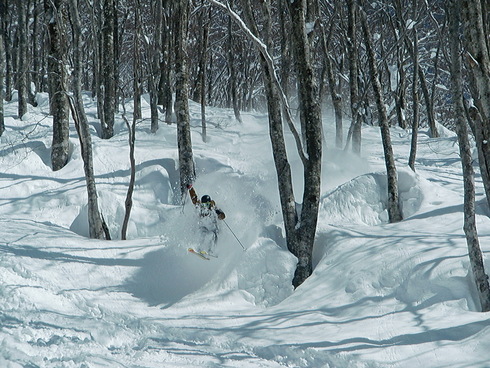 f0209354_192120.jpg
