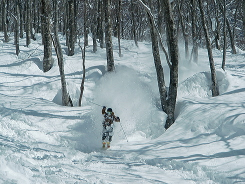 f0209354_1923477.jpg