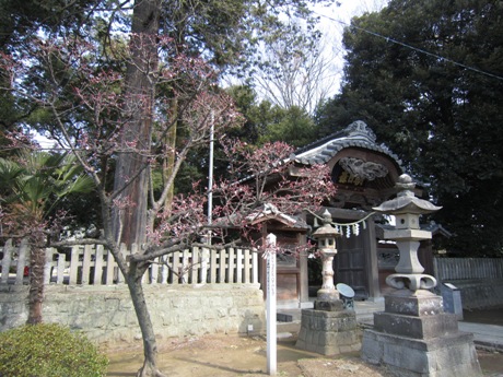 c0127460_11482826.jpg