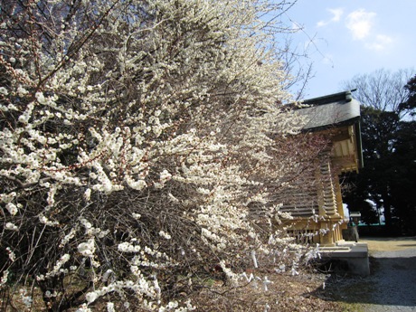 c0127460_15563062.jpg