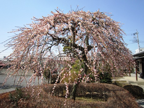 c0127460_1605885.jpg