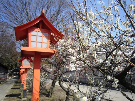 c0127460_18353828.jpg