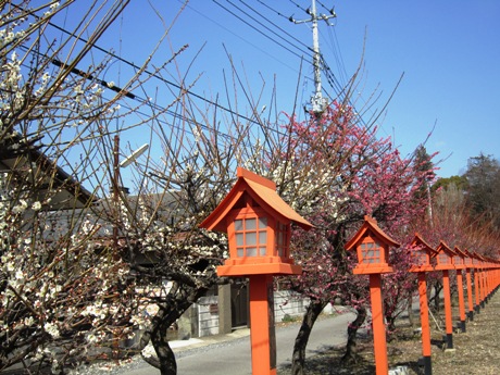 c0127460_18355497.jpg