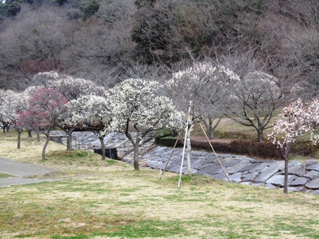c0127460_18373261.jpg