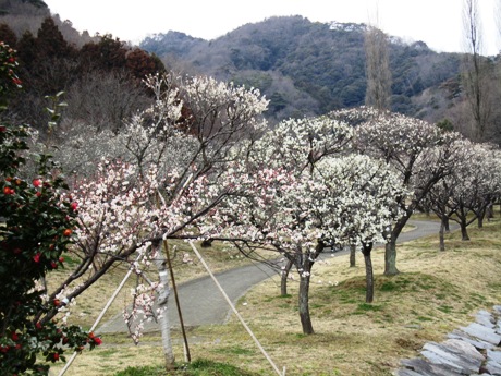 c0127460_18374242.jpg