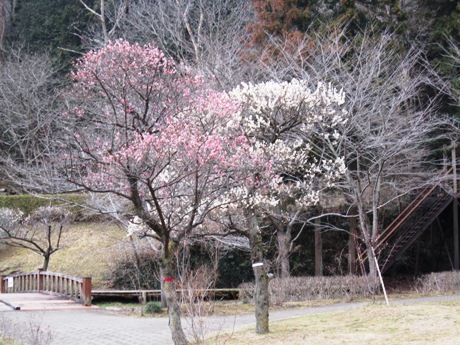 c0127460_18382050.jpg