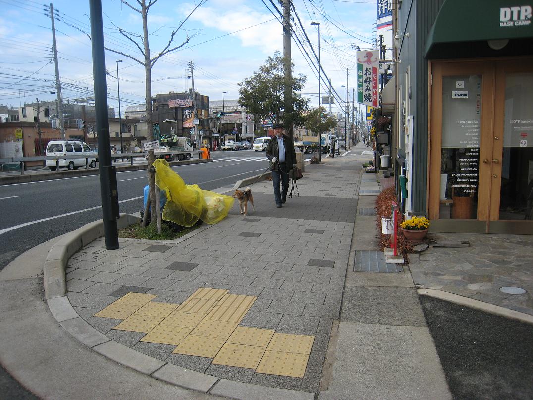朝の散歩_f0205367_1753818.jpg
