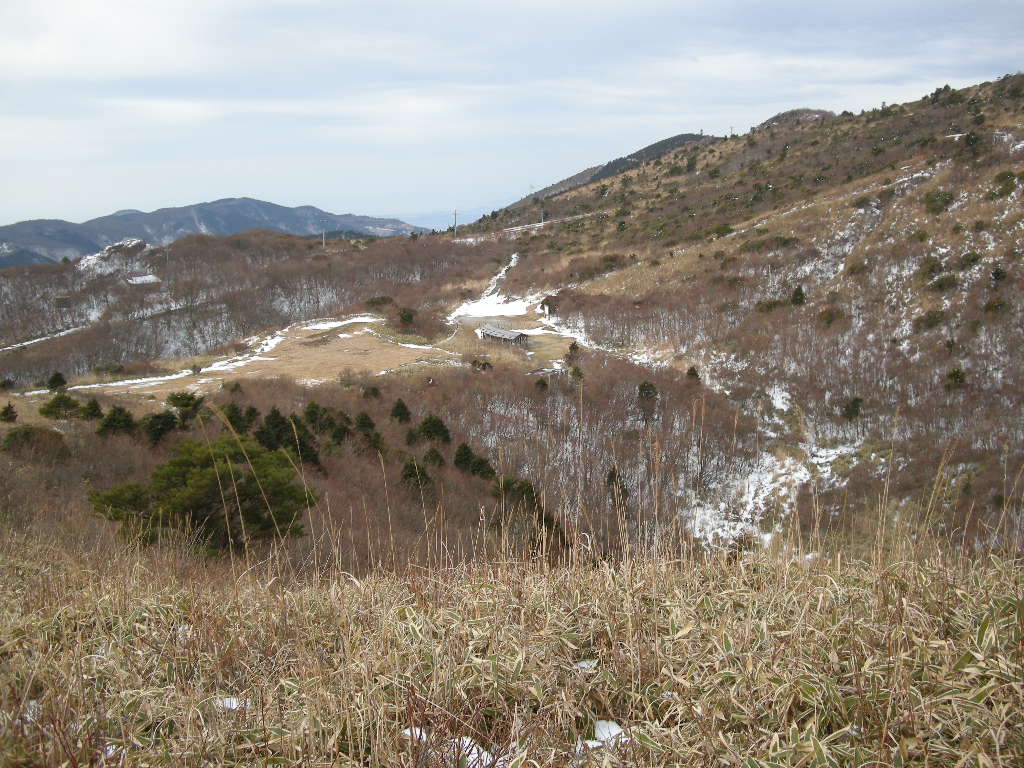 No120  四国100名山梶ケ森と高知県南大王の福寿草_b0185573_20365030.jpg