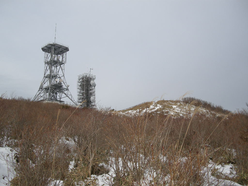 No120  四国100名山梶ケ森と高知県南大王の福寿草_b0185573_20474190.jpg