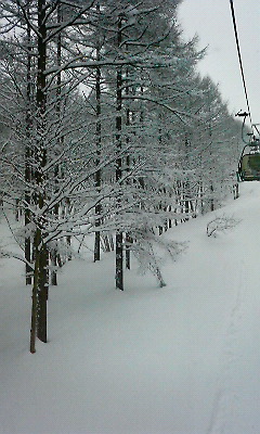 スノーボード IN 妙高_e0148776_11363168.jpg