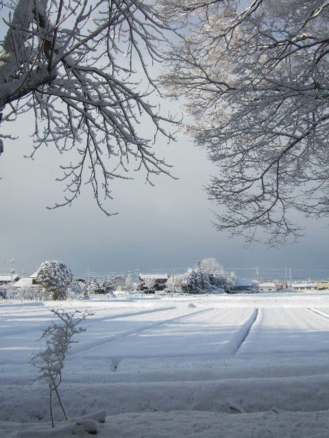 三月の雪　２.　知内　唐崎神社周辺　２０１１．３．１０_c0153880_21353764.jpg