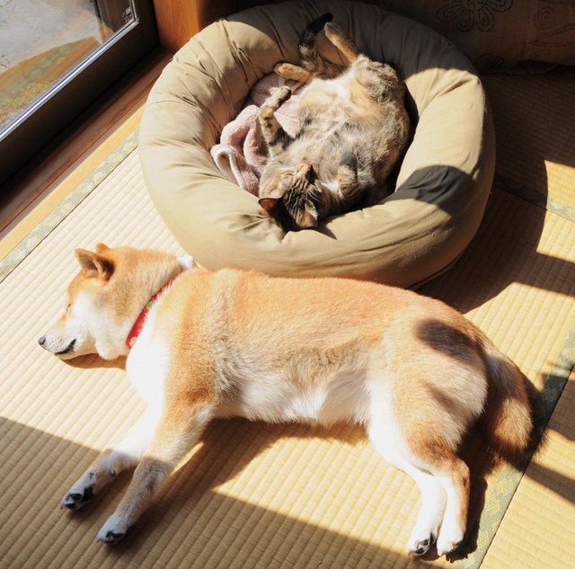 なんでやねん！_a0126590_4583984.jpg
