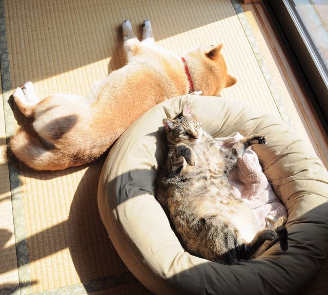 なんでやねん！_a0126590_513184.jpg
