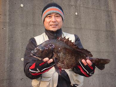 ★今年の初物黒鯛ゲッチュウー☆_e0147297_18263836.jpg
