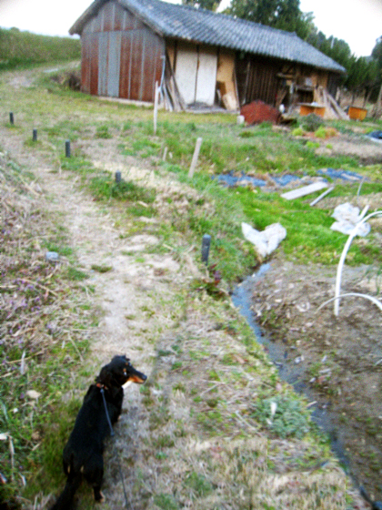d0077603_13312375.jpg