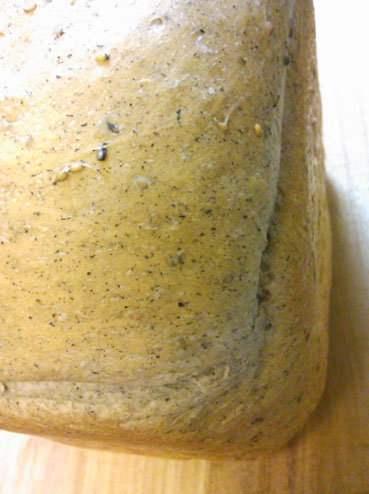 c0205304_1244225.jpg