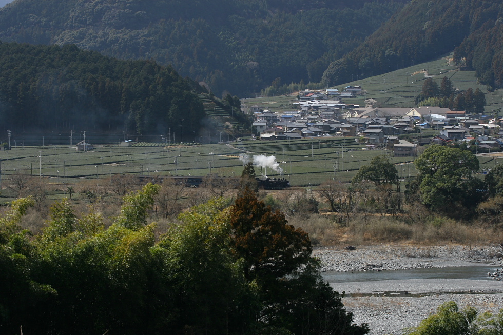 大井川と茶畑と白煙と - 2011早春・大井川 -_b0190710_7115517.jpg