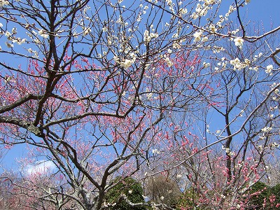 f0227218_13504922.jpg