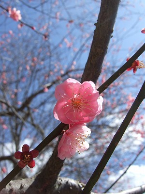 今年最大の開運日☆第一弾_f0227218_13505650.jpg