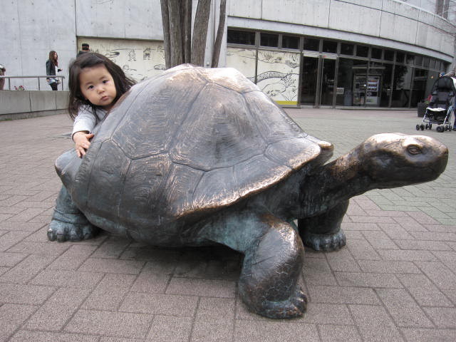 ＊＊＊＊上野動物園＊＊＊＊_a0100919_13433013.jpg