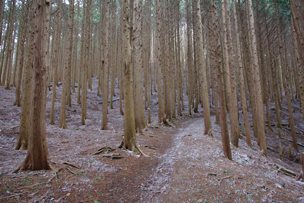 f0007926_10161058.jpg