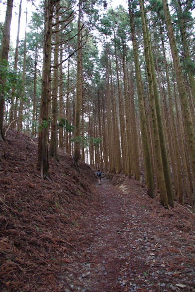 f0007926_10161343.jpg