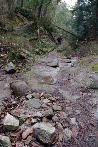 f0007926_10383719.jpg