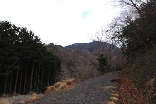 f0007926_10504766.jpg