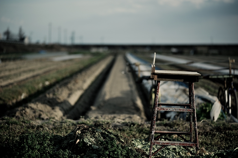 Street, path and field_a0142833_053413.jpg