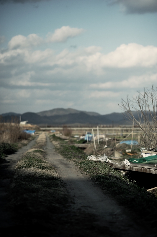 Street, path and field_a0142833_09394.jpg