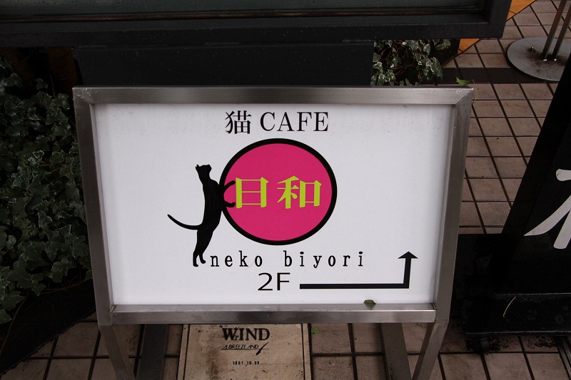 高松市片原町 猫カフェ ねこ日和 新 間違いだらけの猫カフェ選び 高松市片原町 猫カフェ ねこ日和 新 間違いだらけの猫カフェ選び