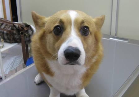 3 月 11 日の写真_c0174644_12242269.jpg