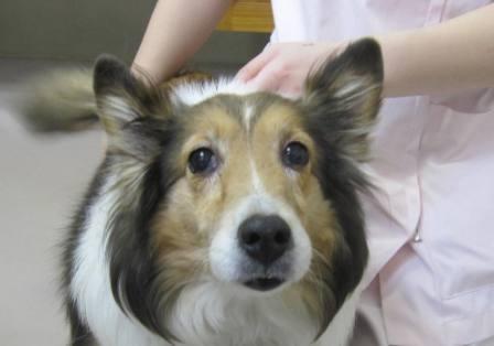 3 月 11 日の写真_c0174644_16353310.jpg