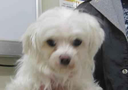 3 月 11 日の写真_c0174644_17472059.jpg