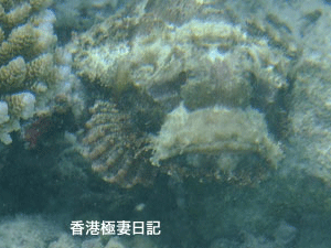 f0190653_1072932.gif