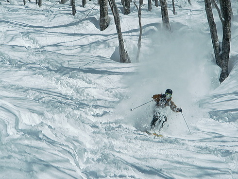 f0209354_18292094.jpg