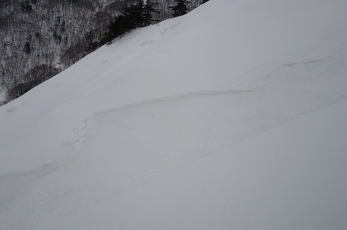 f0209354_18344880.jpg