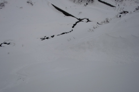 f0209354_18351414.jpg