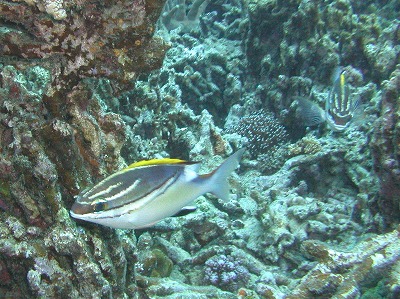 c0180460_18165539.jpg