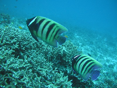 c0180460_181891.jpg