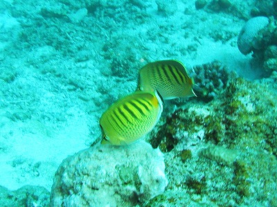 c0180460_18191769.jpg