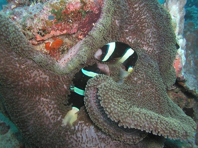 c0180460_18195664.jpg