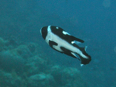 c0180460_18202097.jpg