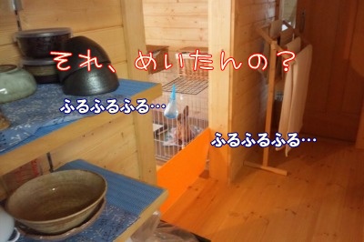 a0091865_973466.jpg