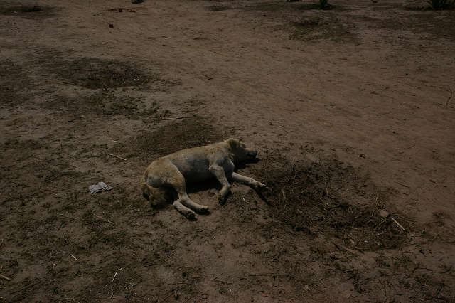 インド滞在記2011 その4: India 2011 Part4_a0186568_1041332.jpg