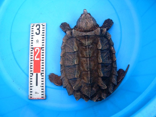 c0105569_0131872.jpg
